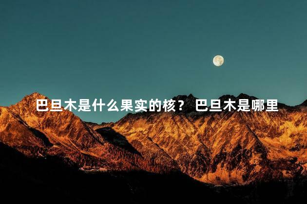 巴旦木是什么果实的核？ 巴旦木是哪里的特产